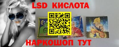стаф Берёзовский