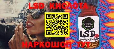 стаф Берёзовский