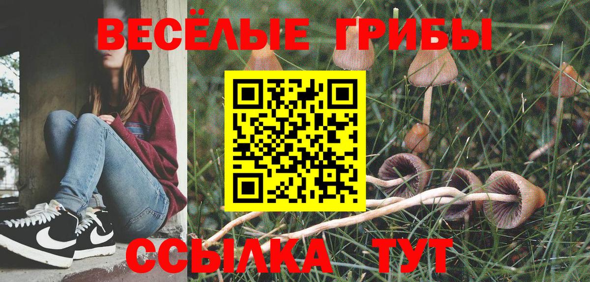 Галлюциногенные грибы мухоморы Когалым