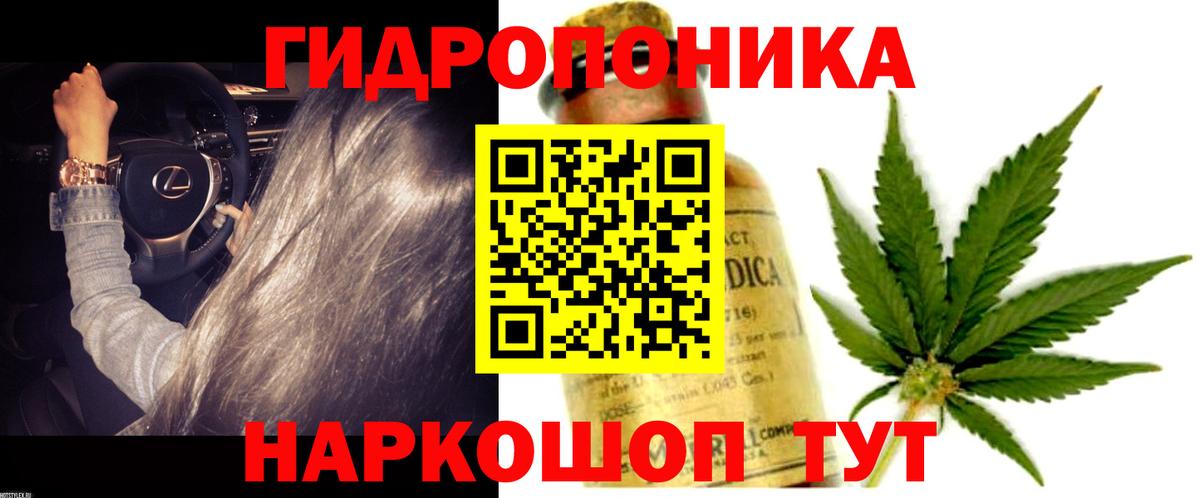 Конопля индика Когалым